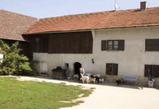 Gnadenhof in Niedertrennbach bei Gangkofen